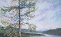 Sentinel Fir at Porlier Pass, Dionisio Point Provincial Park, Galiano Island, original acrylic painting of a Douglas fir tree, breezy sky, Gulf Islands, shoreline and sandstone in the Salish Sea by artist Jeanne Erickson.